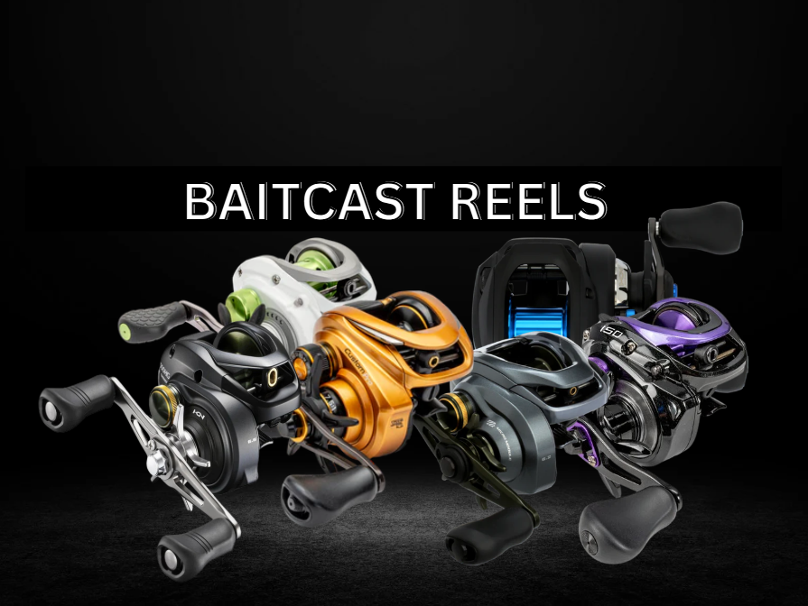 Baitcast Reels for Bass Fishing: Low-Profile Casters Baitcast Reels for Bass Fishing: Low-Profile Casters