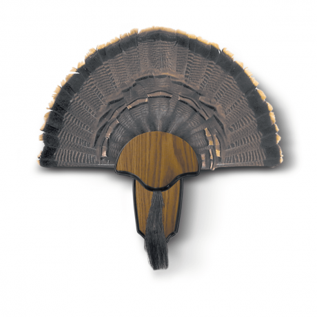 Hunters Specialties Turkey Tail & Beard Mounting Kit