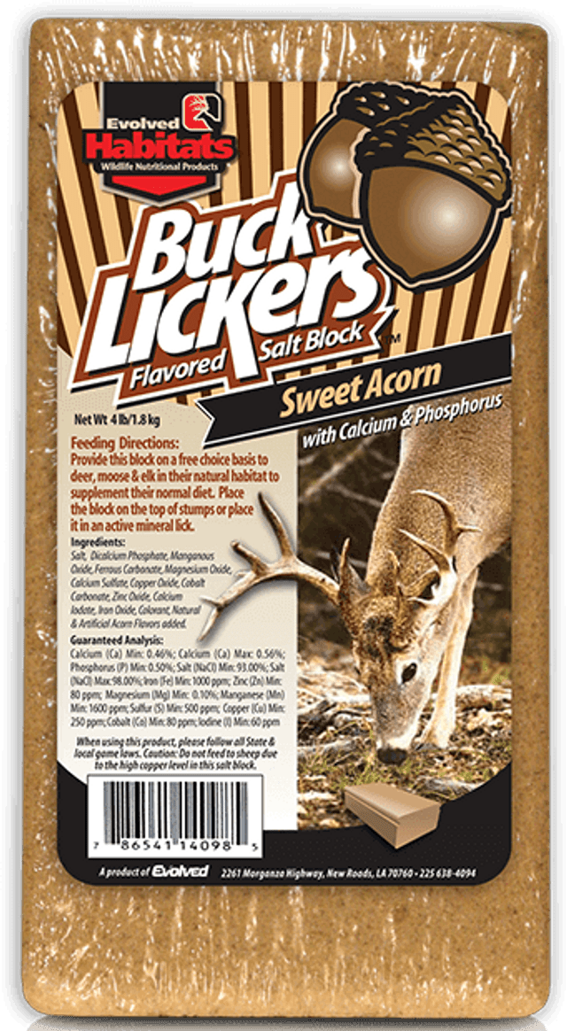 Evolved 14098 Buck Licker Sweet Acorn 4lb Block