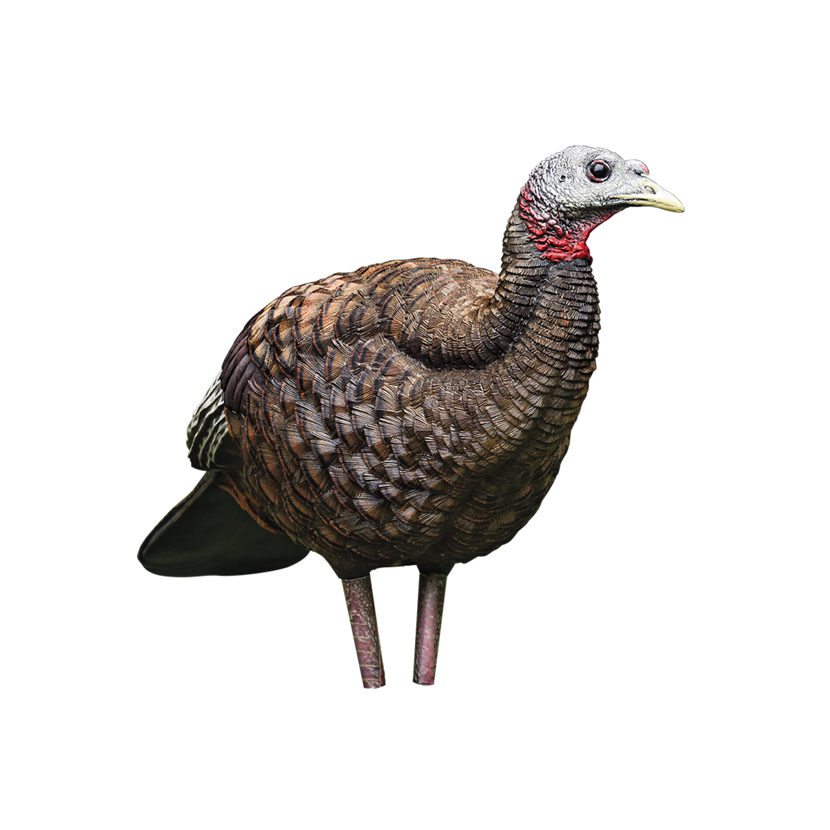 Avian-X LCD Breeder Hen Turkey Decoy, Full Body
