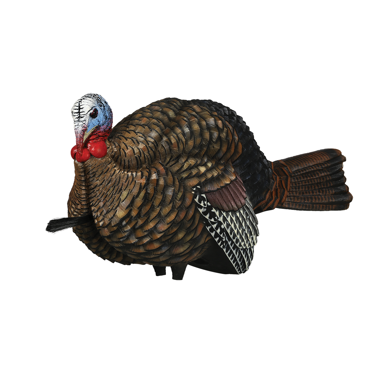 Avian-X LCD 1/2 Strut Jake Turkey Decoy