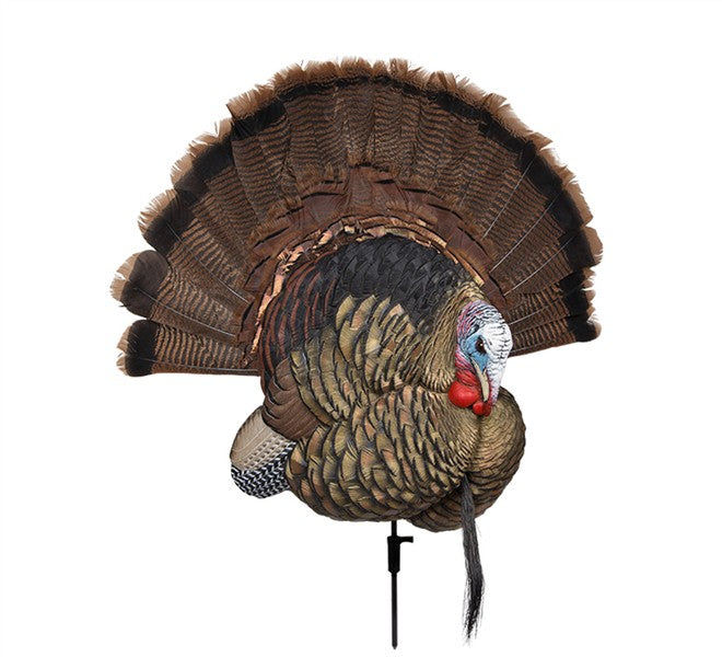 Avian-X Trophy Tom Turkey Decoy