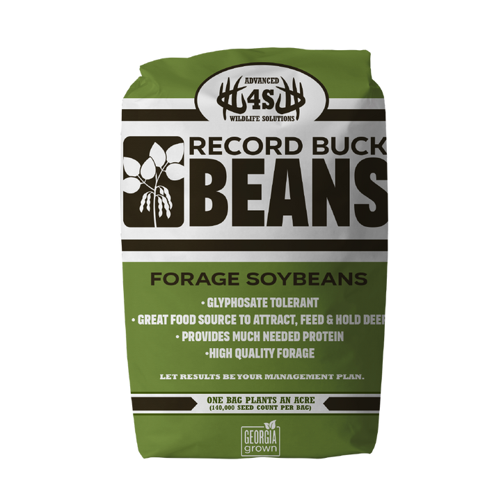 Advanced 4S Record buck bean