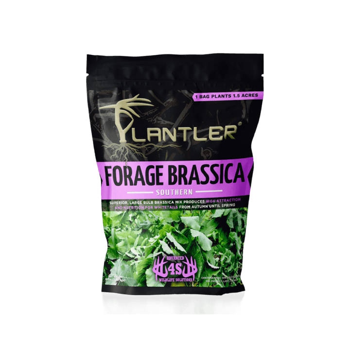 Advanced 4S Plantler Forage Brassica Mix