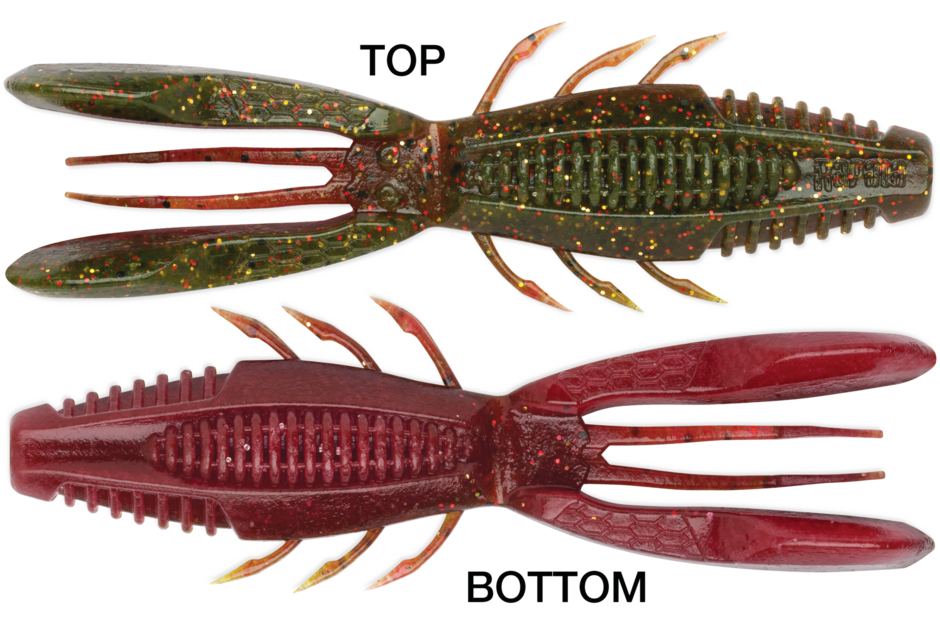 Crushcity Bronco Bug 4