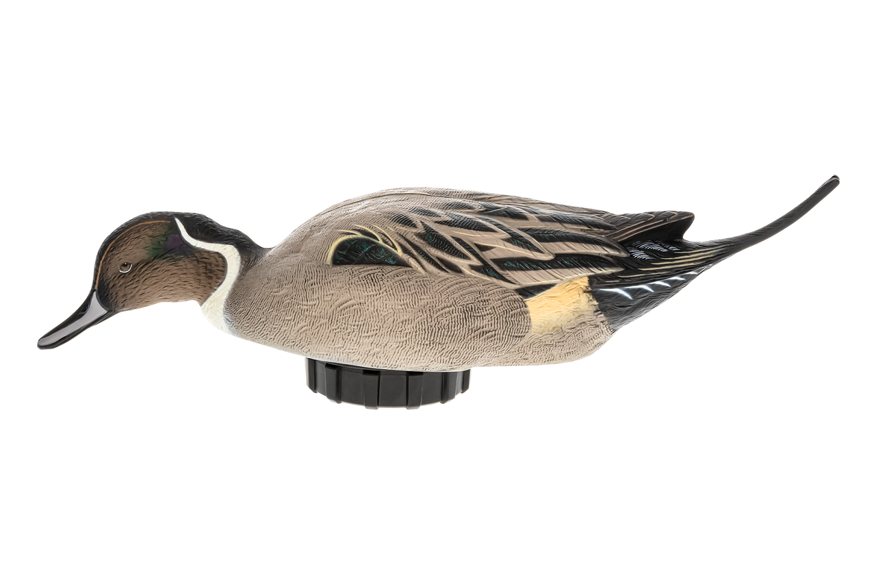 Avian-X Power Shaker Motion Decoys Pintail Surface Feeder