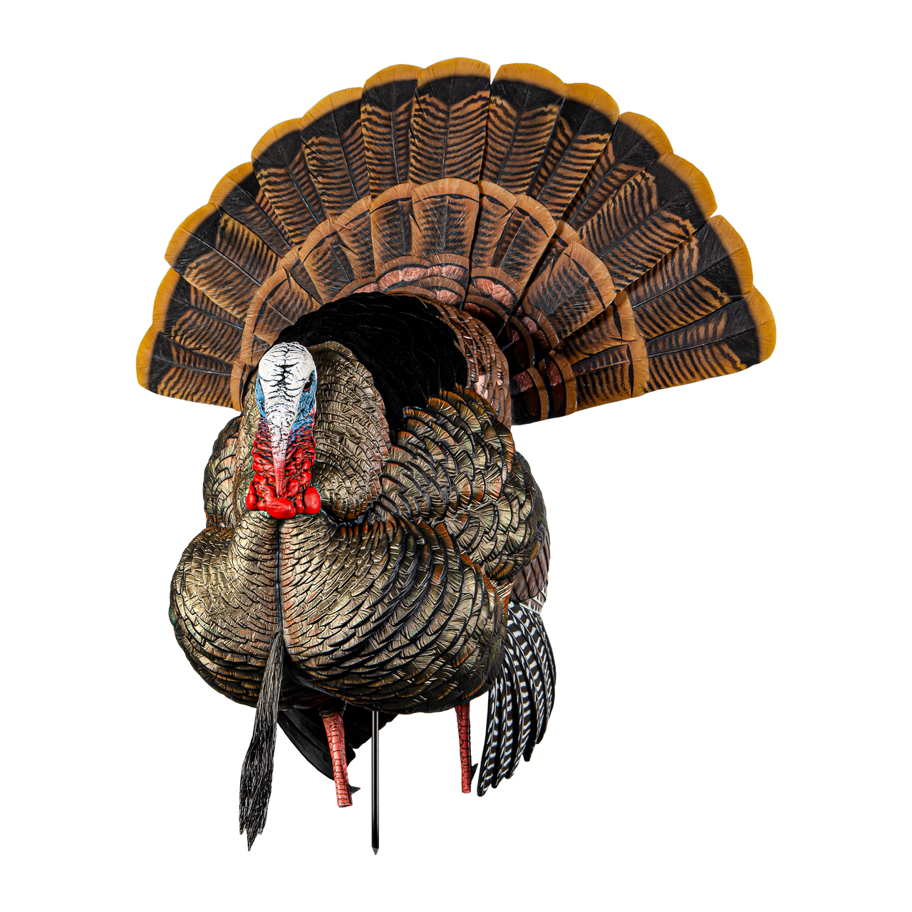 Avian-X AVX HDR Strutter