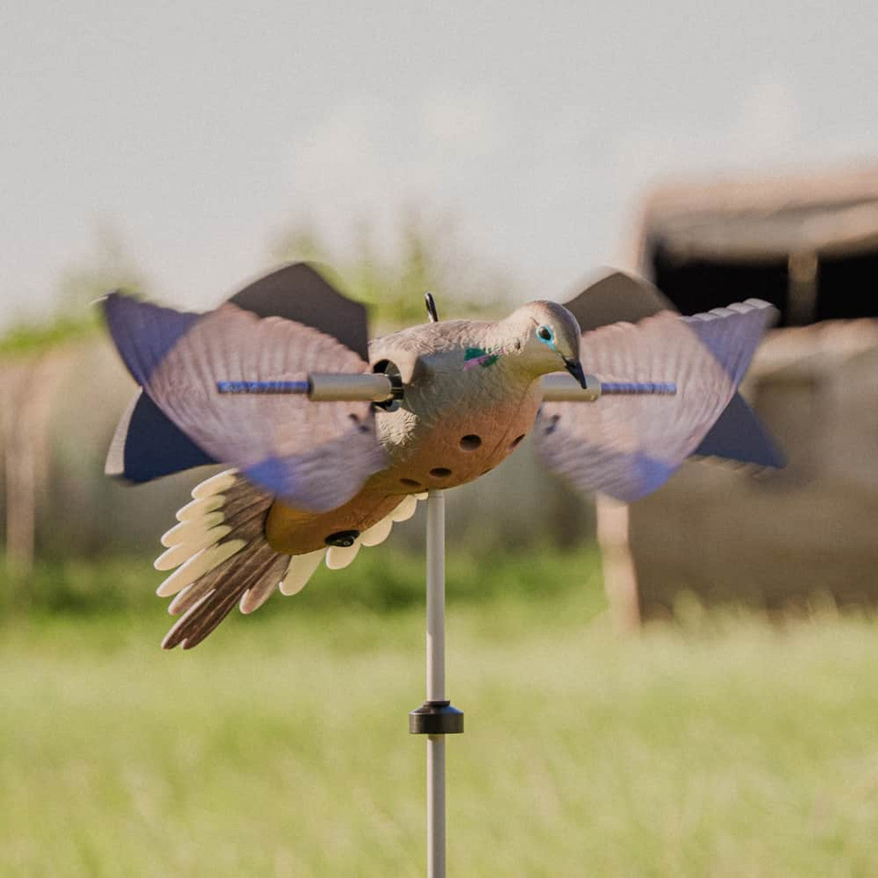 Avian-X SPINNING WING DOVE 1PK