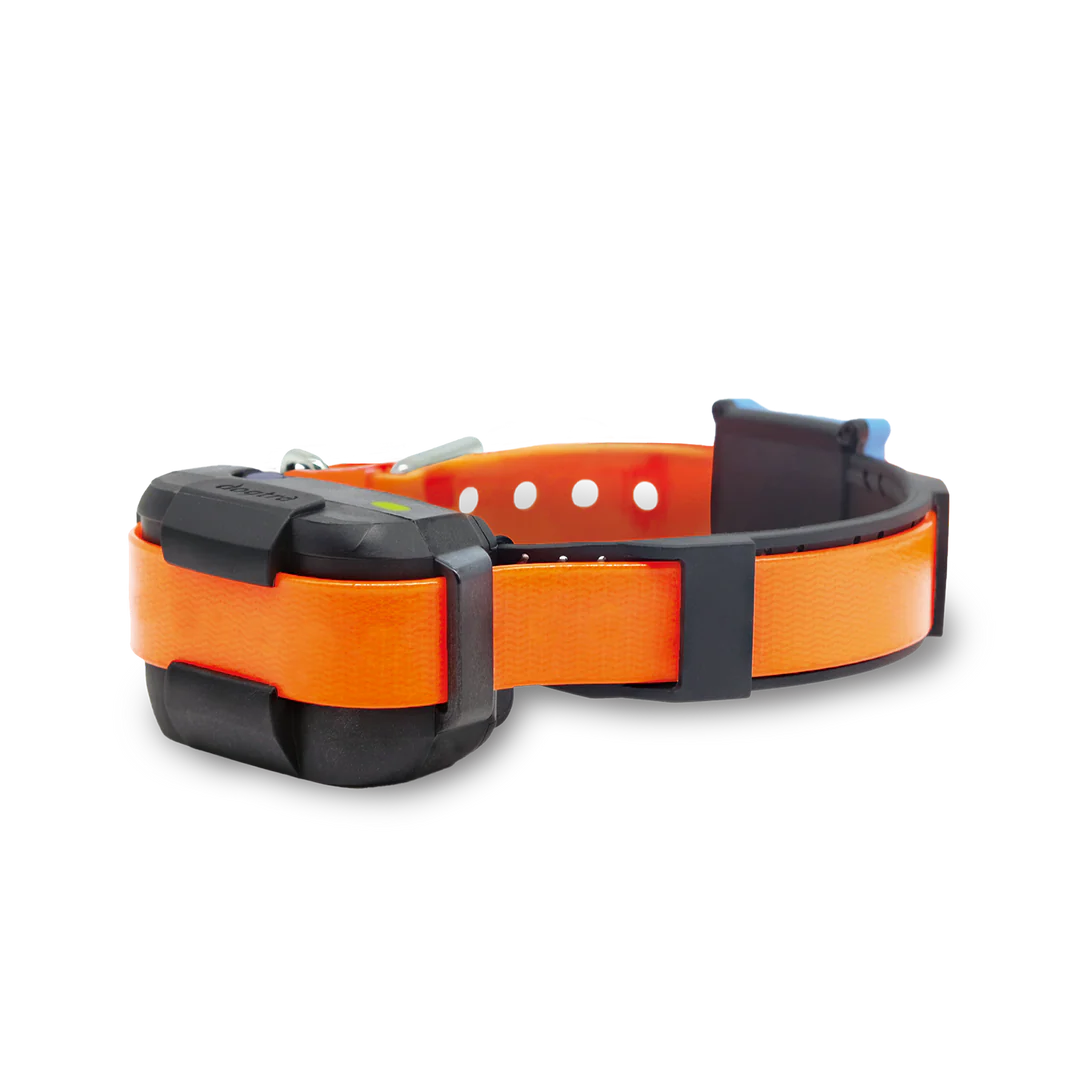 Dogtra Smart Fence Additional Receiver