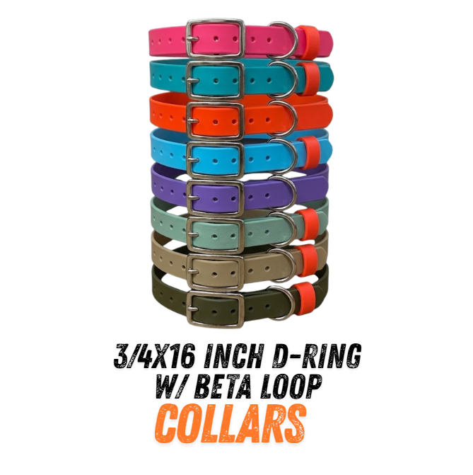 BioThane 3/4" x 16" ST D-Ring Collar with Beta Loop