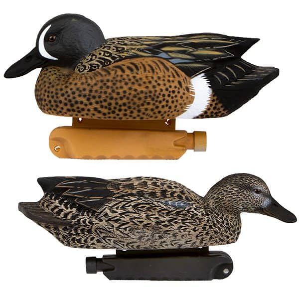 Cupped Waterfowl Blue Wing Teal 6 Pack