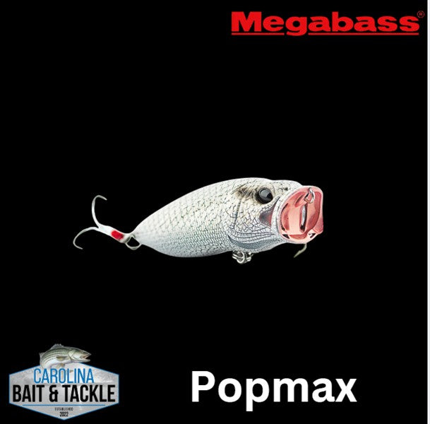 Megabass PopMax Megabass PopMax
