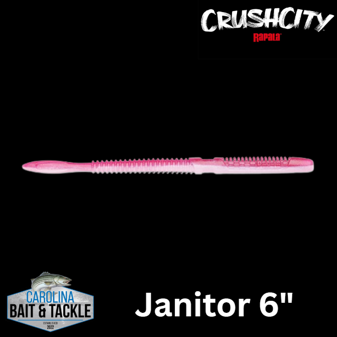 Crushcity Janitor 6