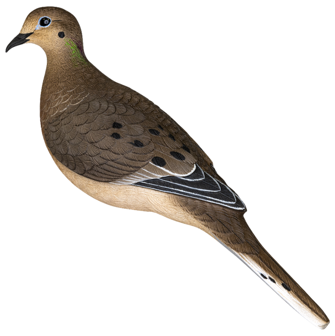 Avian-X Full Body Dove Decoys - 6PK