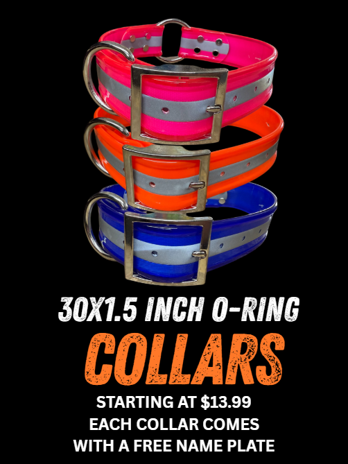 30X1.5 Inch Center O-Ring Dog Collar
