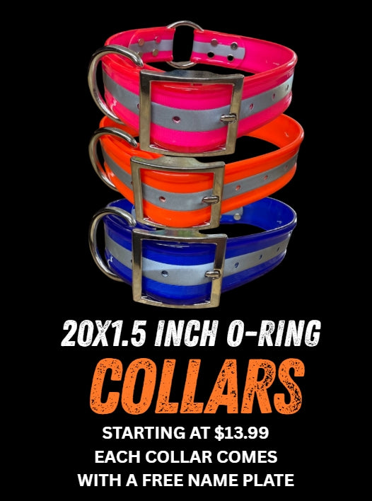 20x1.5 inch Center O-Ring Dog Collar