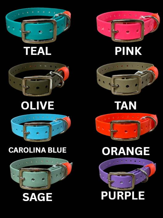 1" x 20" ST Dee Ring Collars with Beta Loop