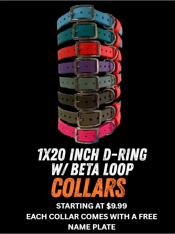 1" x 20" ST Dee Ring Collars with Beta Loop
