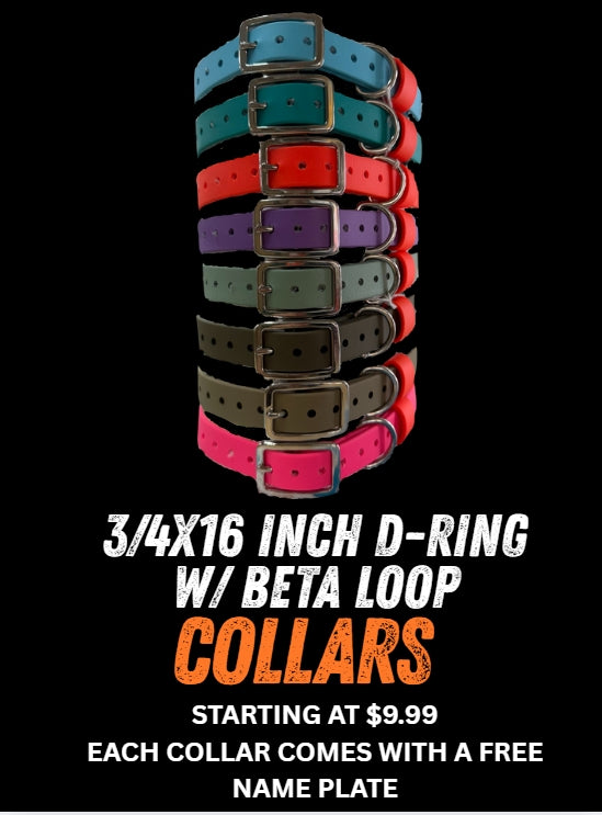 3/4" x 16" ST D Ring Collars with Beta Loop