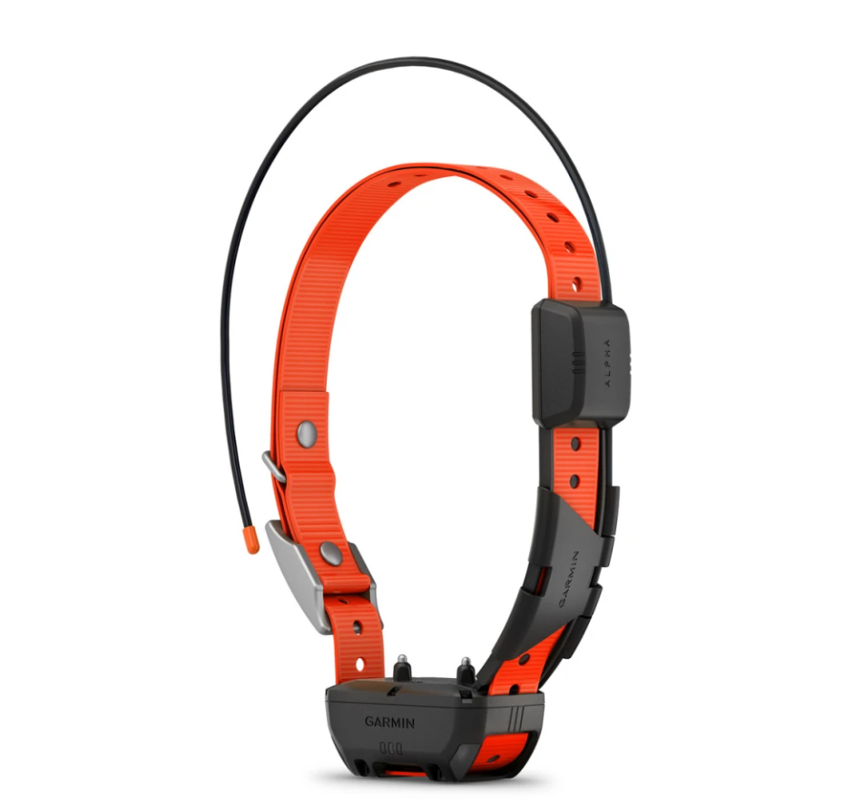 Garmin Alpha 200 TT25 Bundle 1 Dog System Special Price