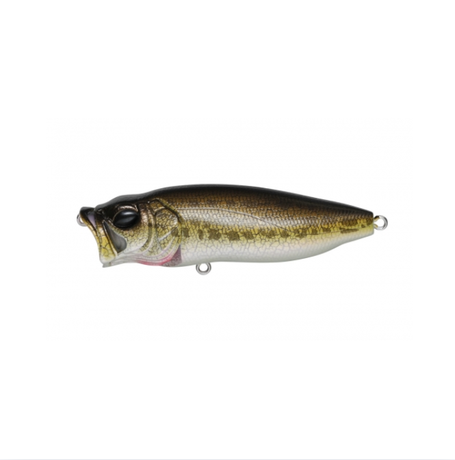 Megabass Popmax