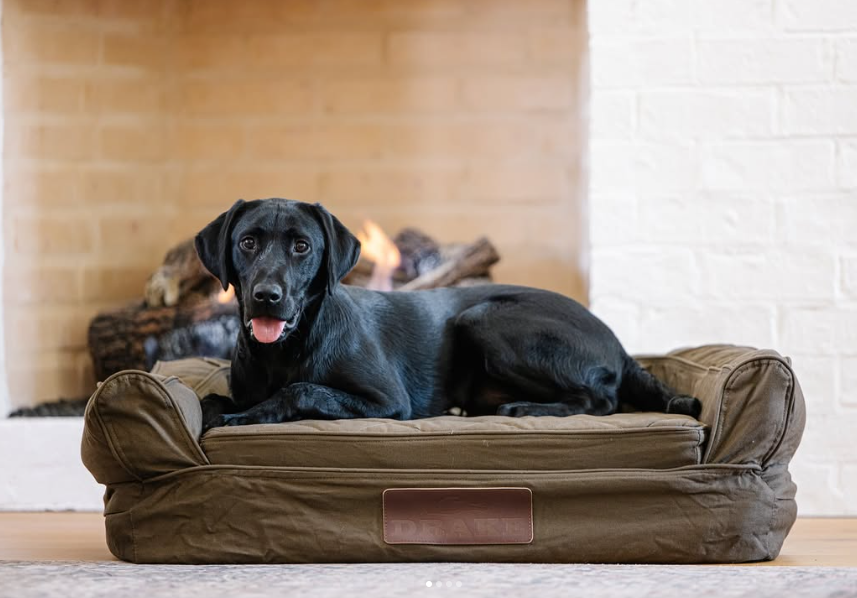 Drake Gun Dog Landing Zone Premium Canvas Dog Couch Green Timber