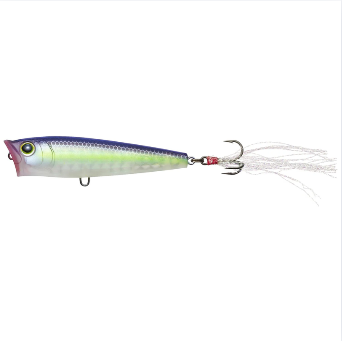 Yo-Zuri 3DR-X Popper (F)