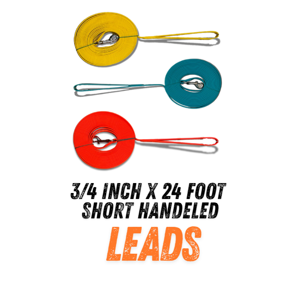 3/4" X 24 Foot SH Beta Leads Orange