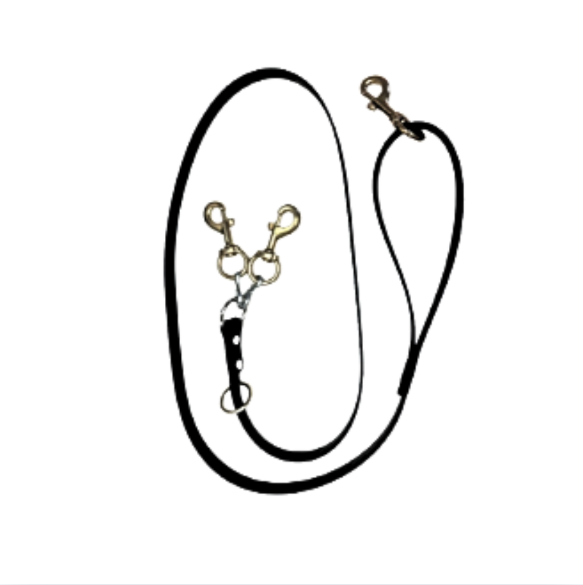 5 Foot Treeing Lead W/ 2 Brass Snaps