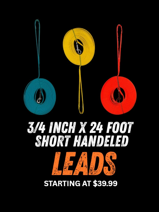 3/4" x 24' SH Beta Leads