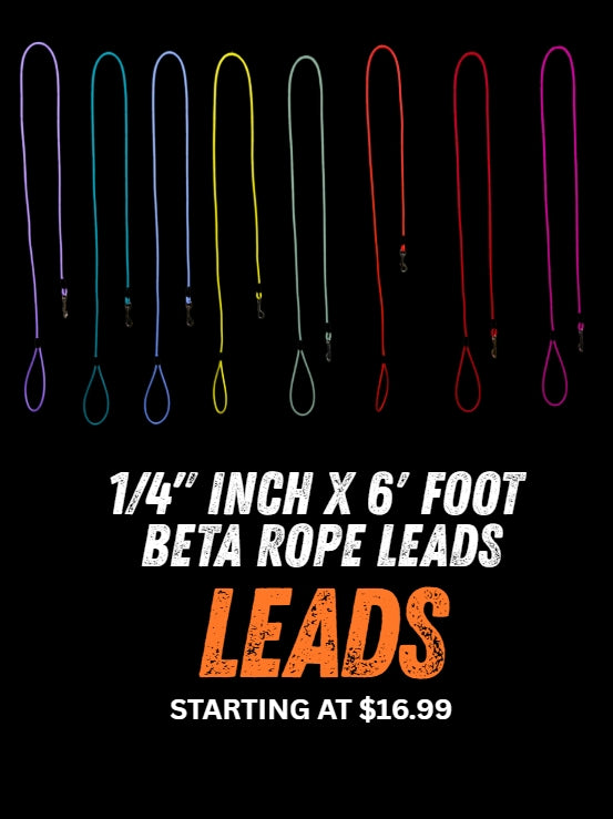 1/4" x 6' Beta Rope Leads