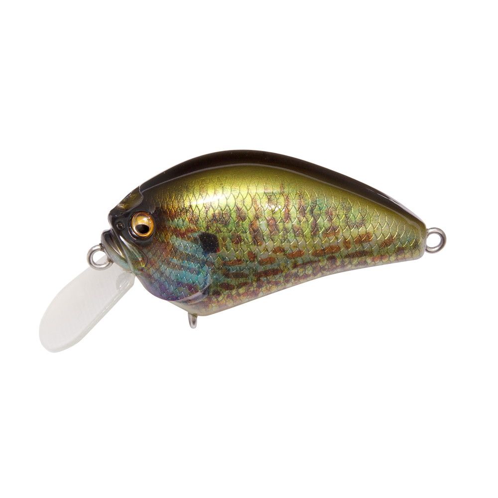 Megabass JDM IXI Blowly Pumpkin Seed