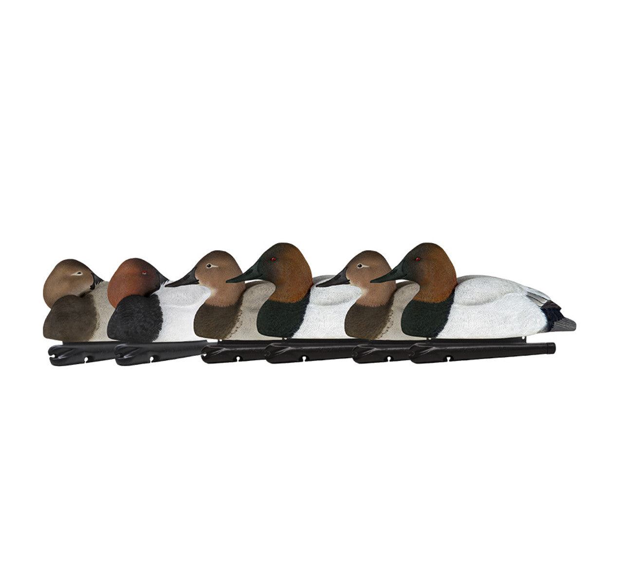 Avian-X Topflight Canvasbacks