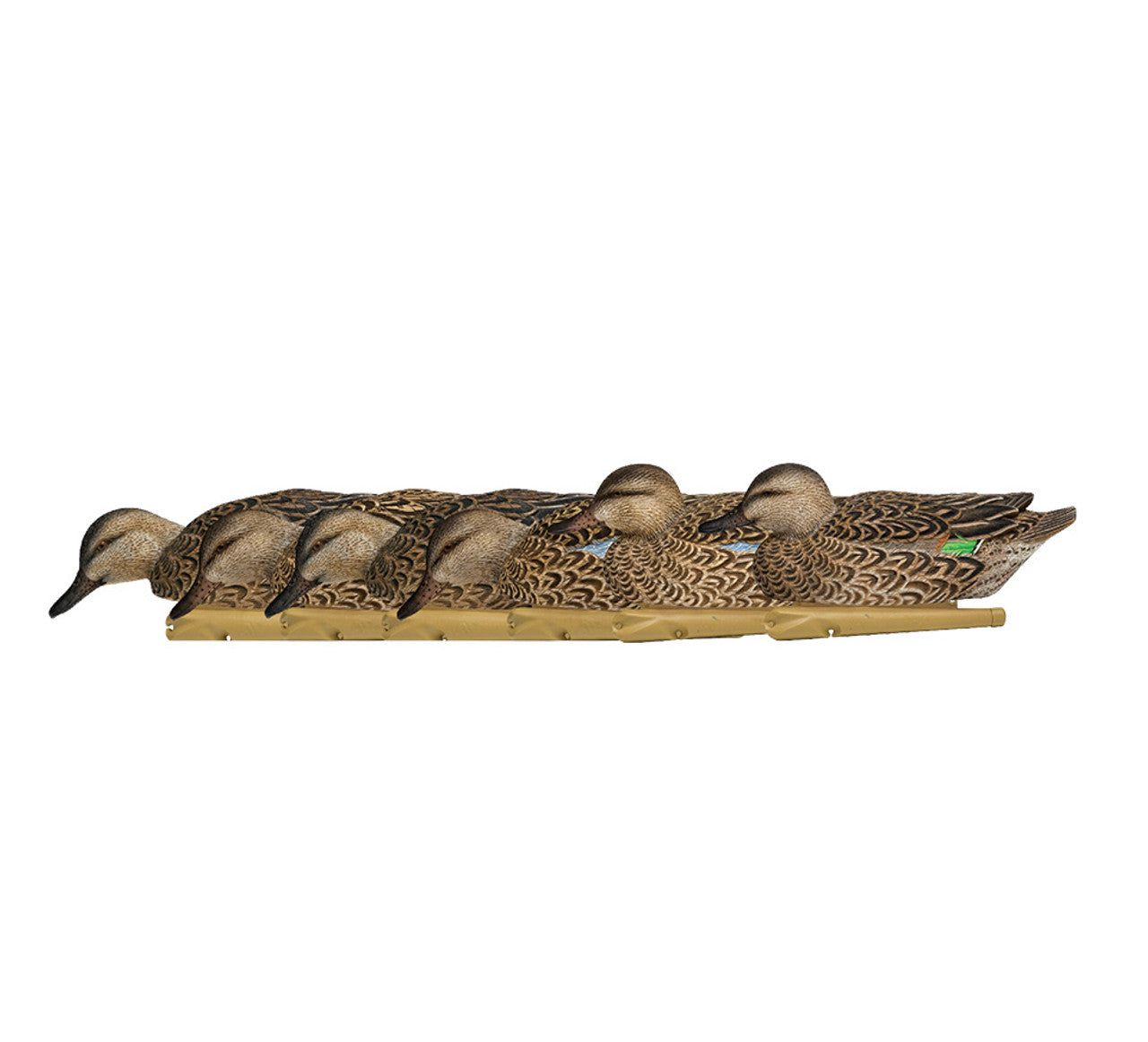Avian-X Topflight Early Season Teal