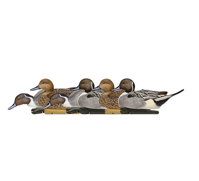 Avian-X Topflight Pintails