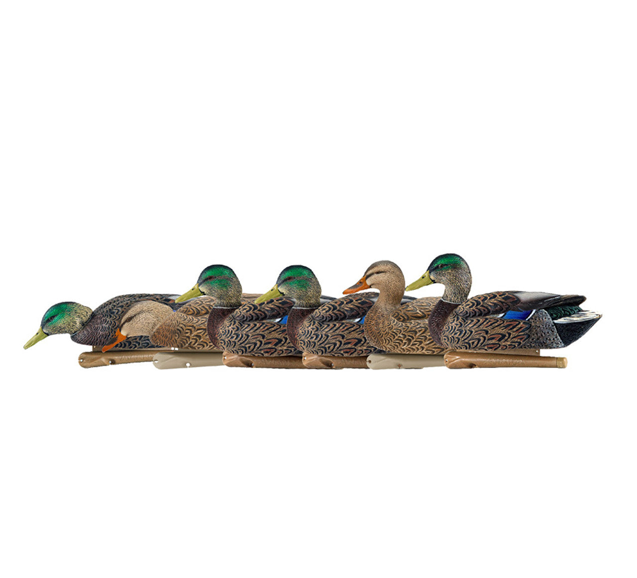 Avian-X Topflight Early Season Mallards