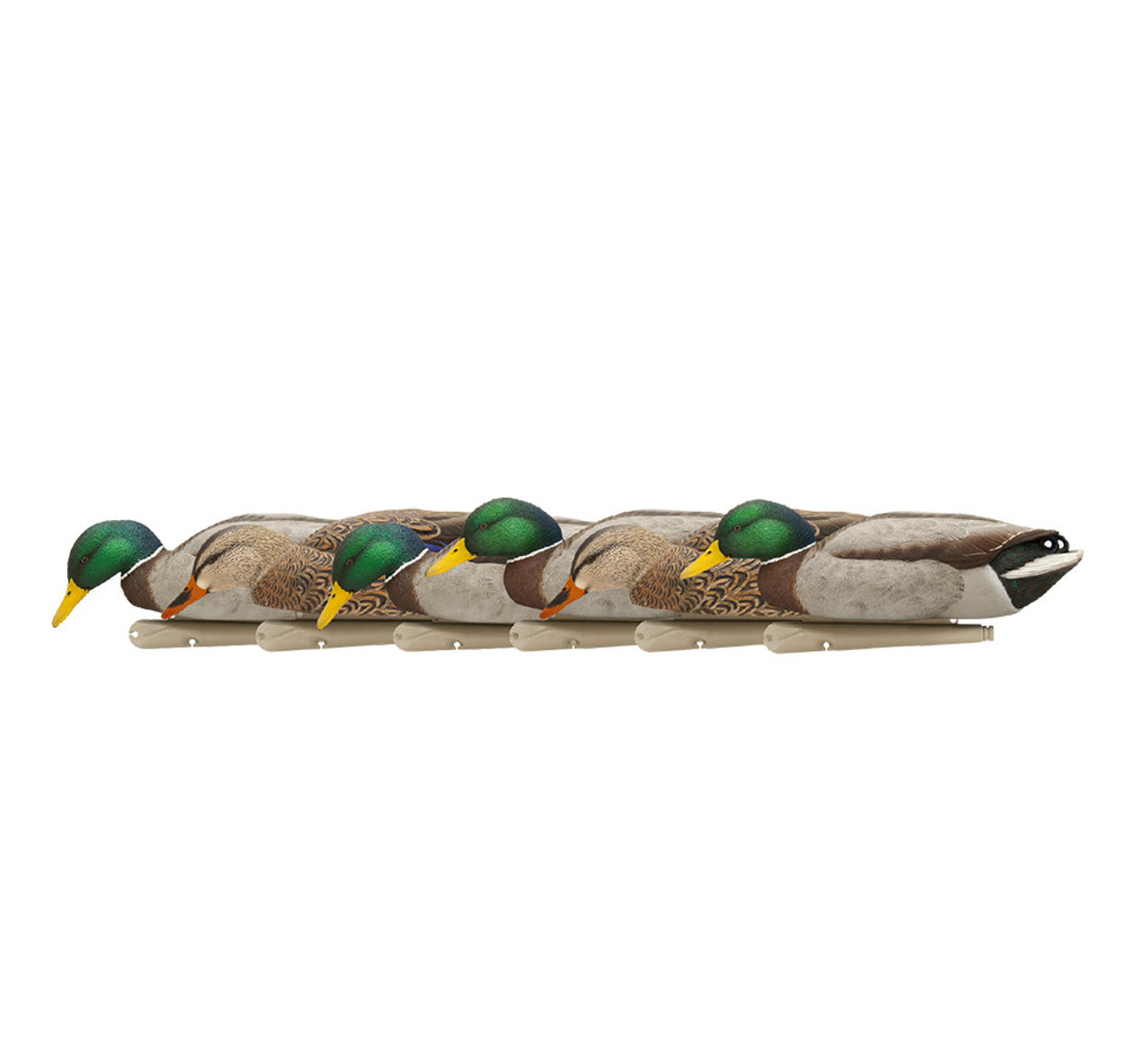 Avian-X Topflight Backwater Mallards