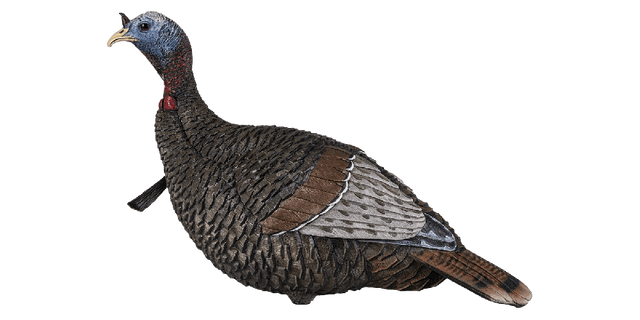 Flextone Thunder Jake Turkey Decoy
