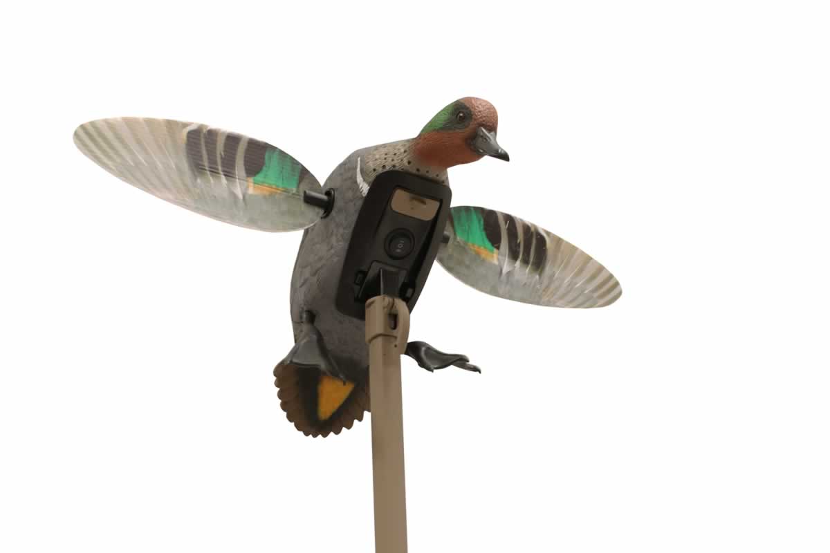 MOJO® Elite Series™ – Green Wing Teal – Remote Ready
