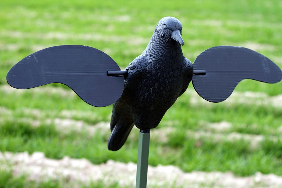 Mojo Outdoors Mojo Crow Decoy