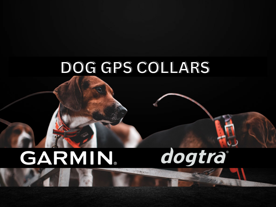 Dog gps collar collection cover photo