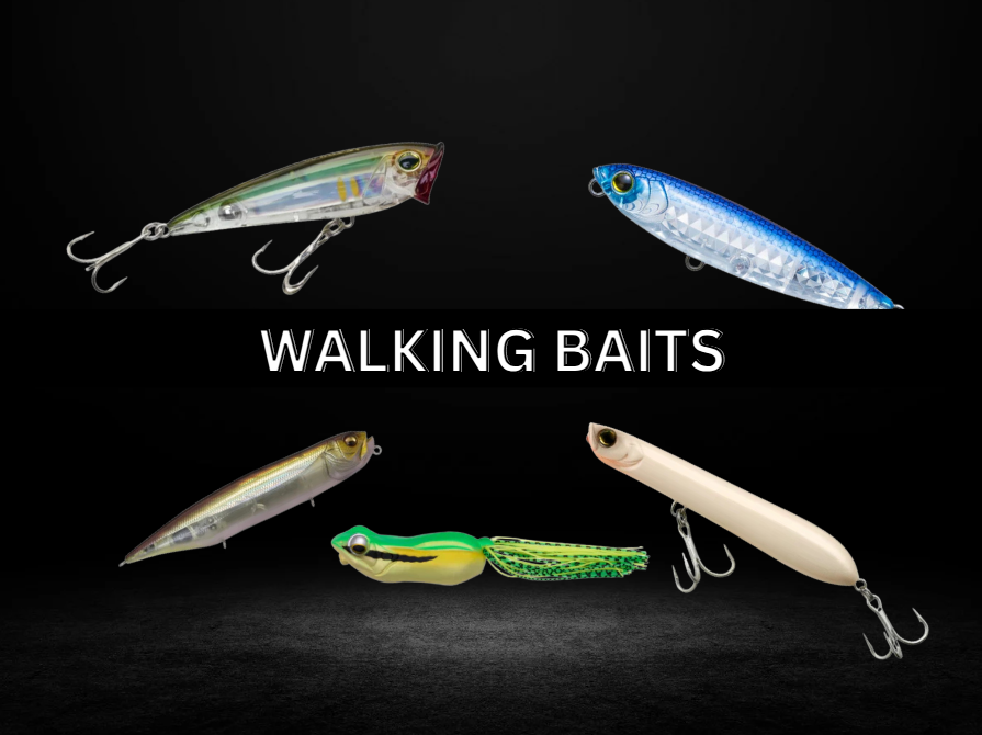 WALKING BAIT COLLECTION COVER PHOTO