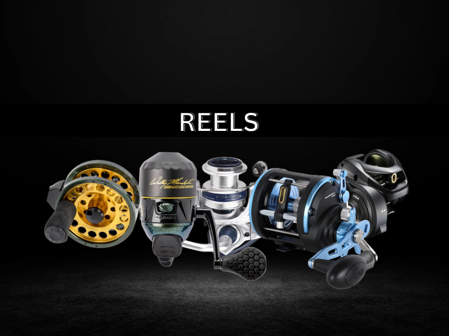 Fishing Reels: Spinning, Baitcast, Spincast, Conventional