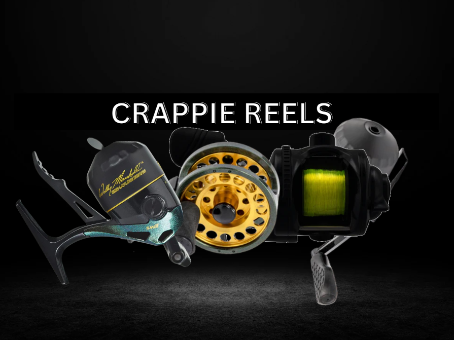 Crappie Reel collection cover photo