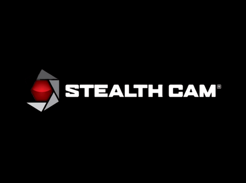 Stealth Cam