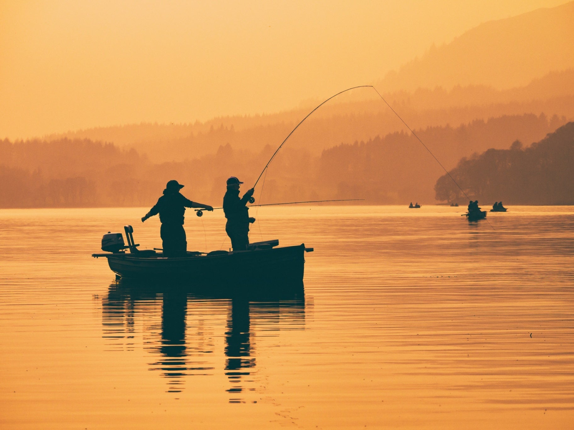 Entire fishing collection cover photo