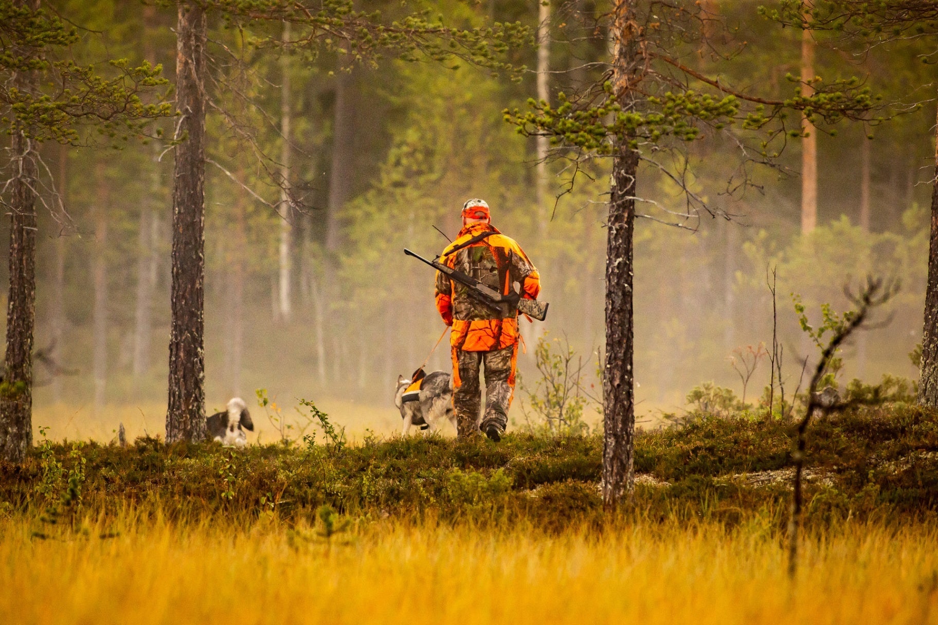 Shop the entire hunting collection cover photo