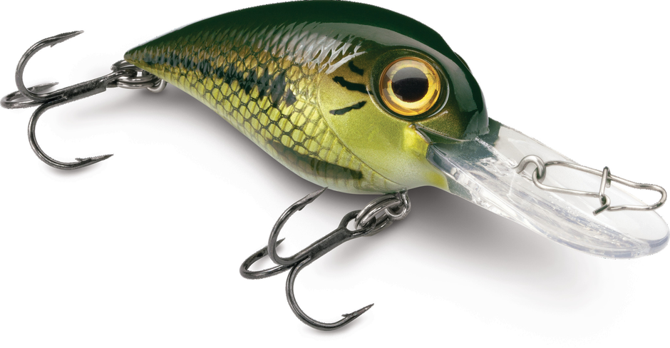 Storm Wiggle Wart Madflash Crankbait