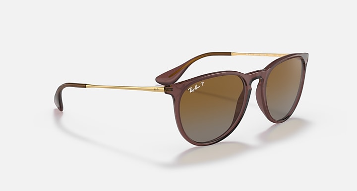 Ray-Ban ERIKA Transparent Dark Brown