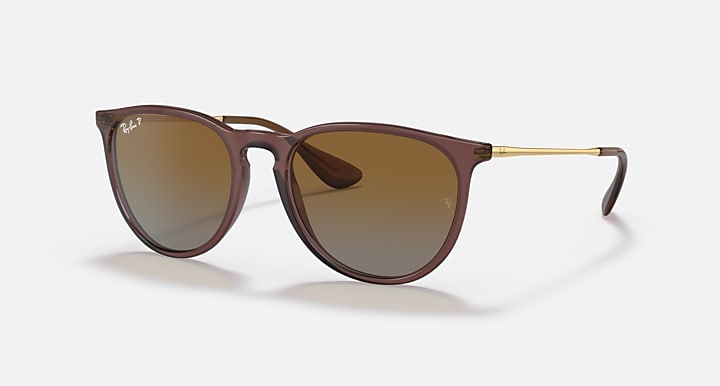 Ray-Ban ERIKA Transparent Dark Brown